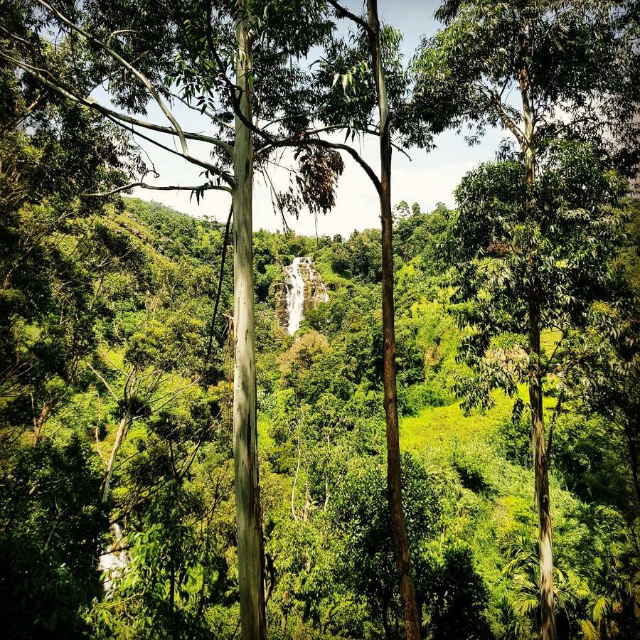إيلا Waterfalls Homestay المظهر الخارجي الصورة