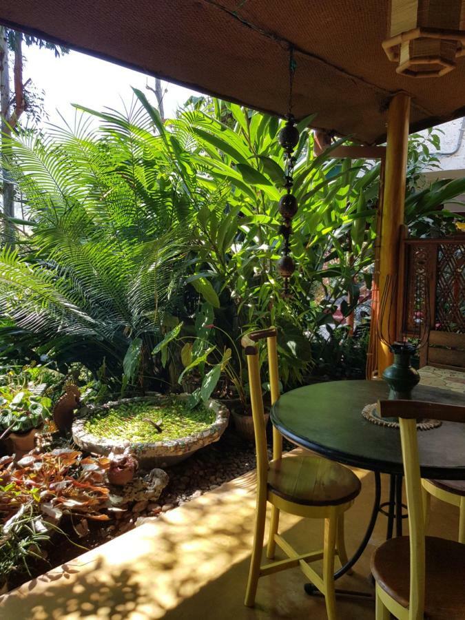 إيلا Waterfalls Homestay المظهر الخارجي الصورة